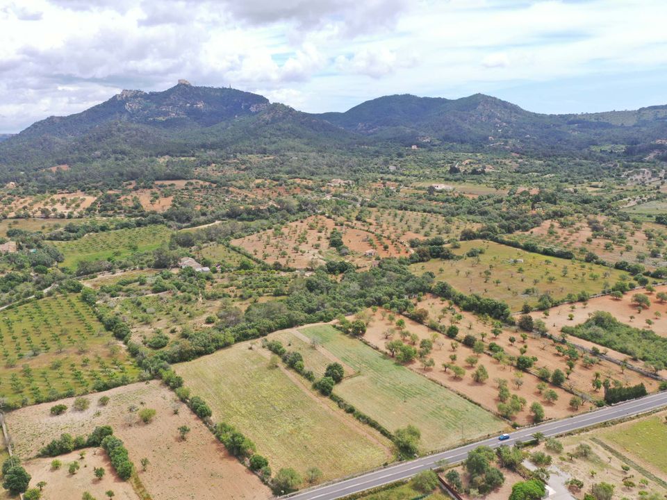 Helårsgrund i Felanitx, Mallorca - foto 1