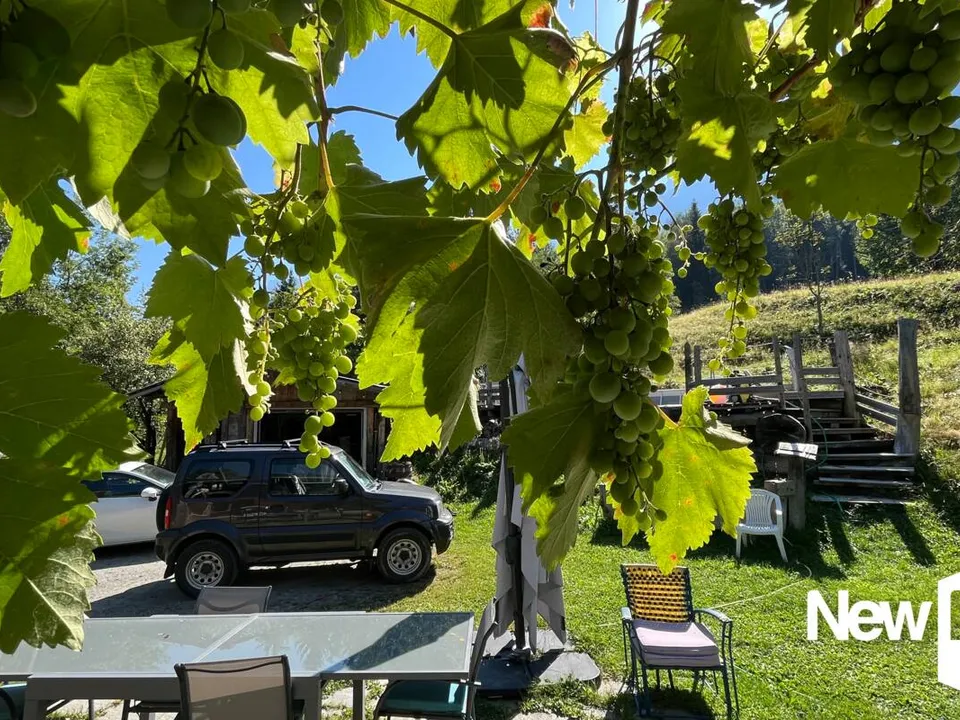 Landejendom i Les Houches, Haute-Savoie - foto 3