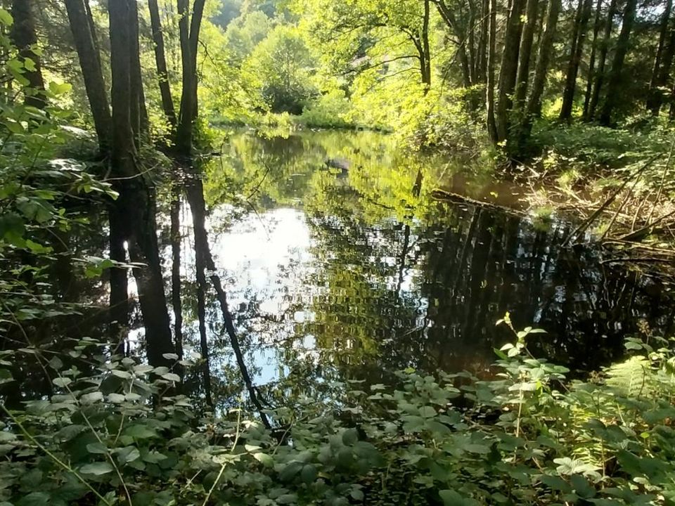 Helårsgrund i Saint-Bresson, Haute-Saone - foto 1