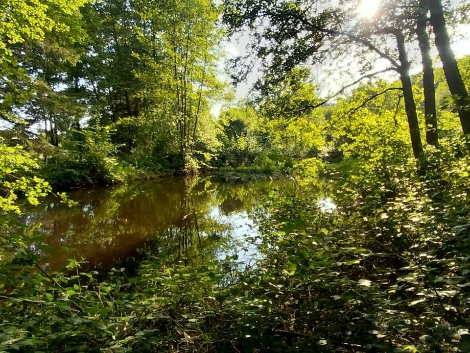 Helårsgrund i Saint-Bresson, Haute-Saone - foto 2