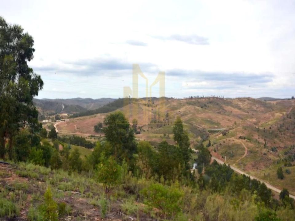 Farm i Silves, Faro - foto 5