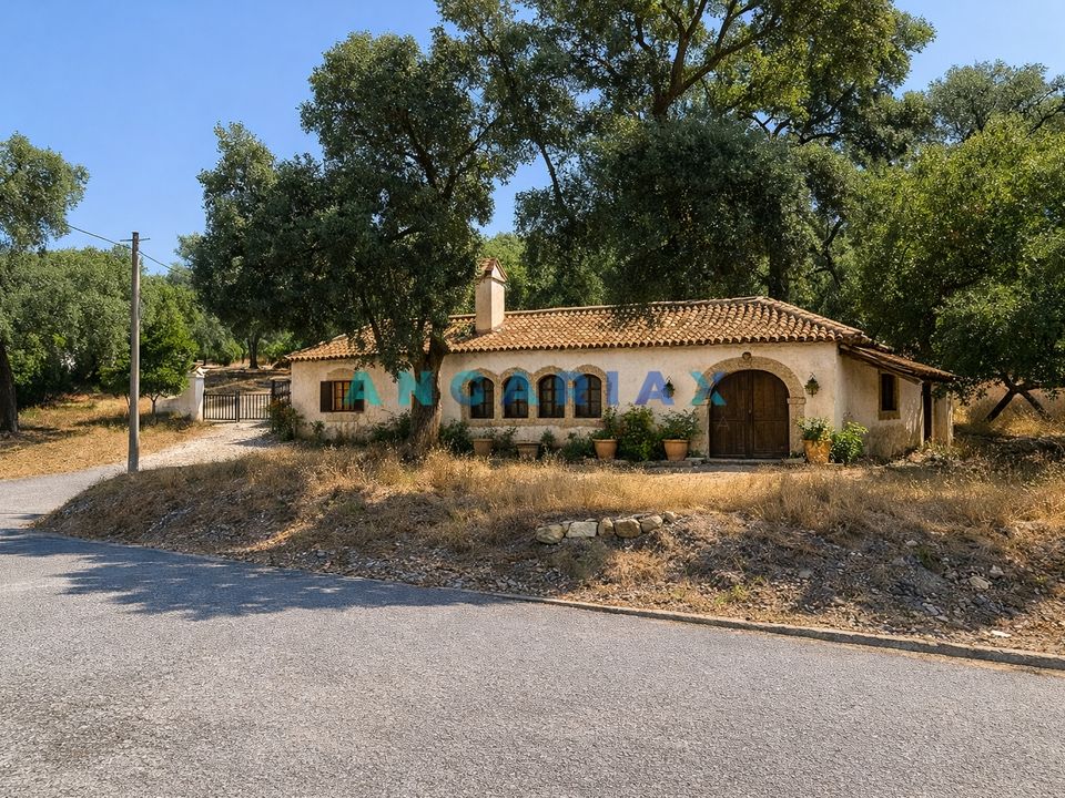 Grundstück in Abrantes, Santarem - Foto 1