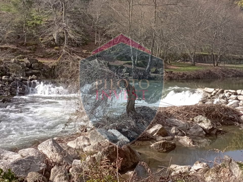 Farm i Viseu, Viseu - foto 1
