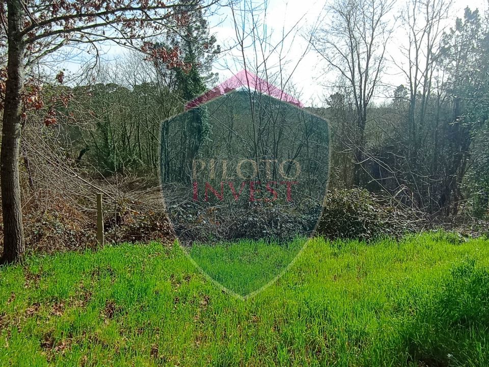 Farm i Viseu, Viseu - foto 2
