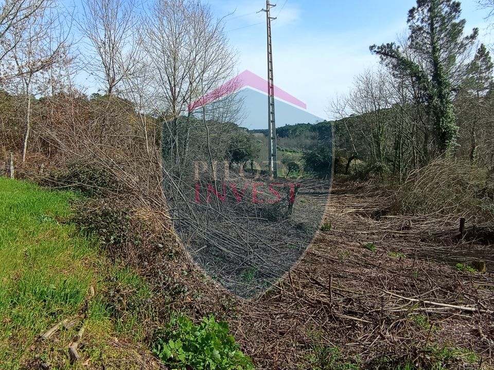 Farm i Viseu, Viseu - foto 3