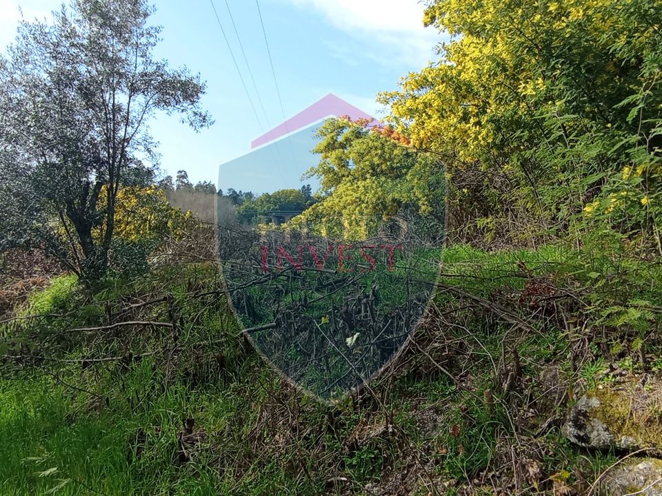 Farm i Viseu, Viseu - foto 4
