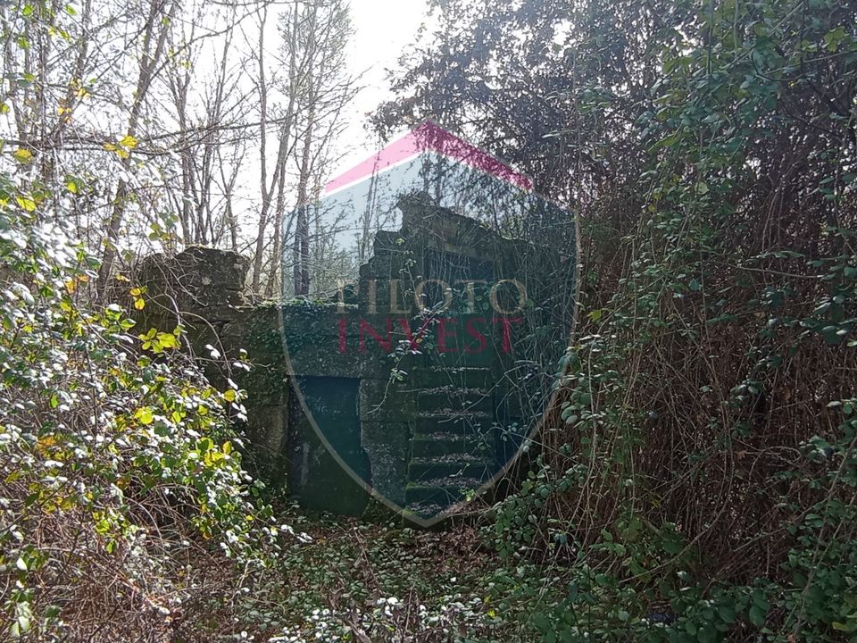 Farm i Viseu, Viseu - foto 5