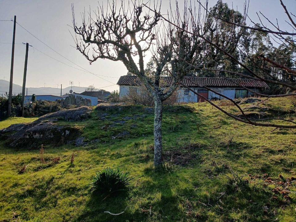 Villa i Troporiz e Lapela, Viana do Castelo - foto 5