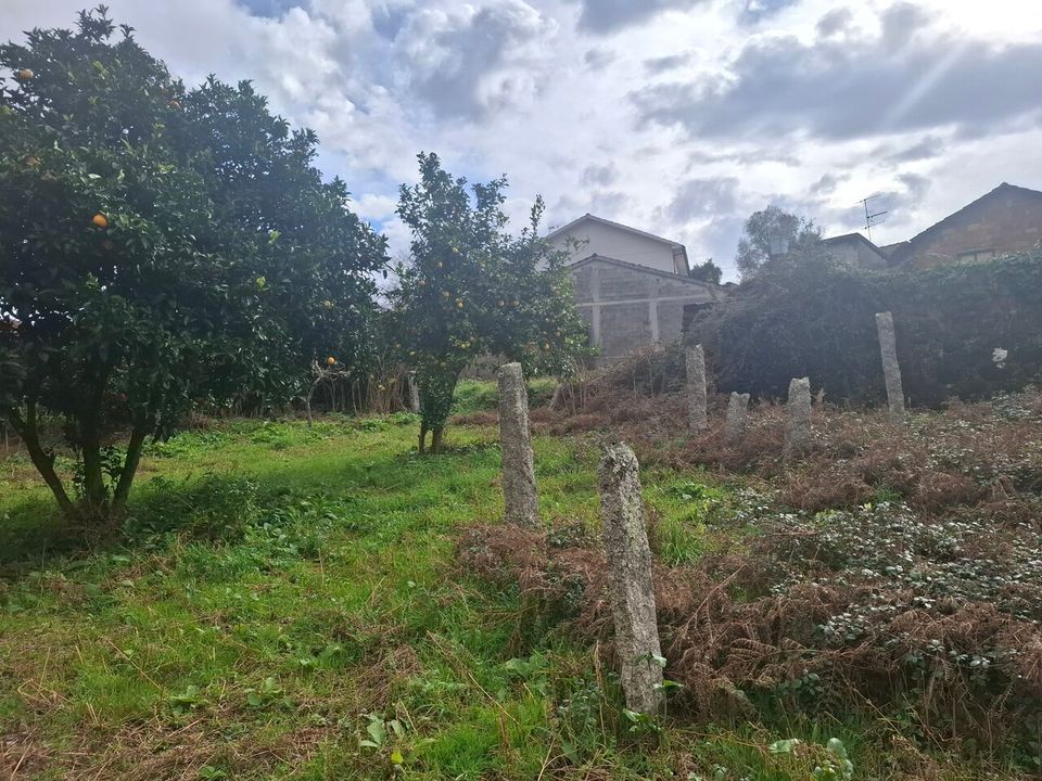 Villa i Bela, Viana do Castelo - bilde 4