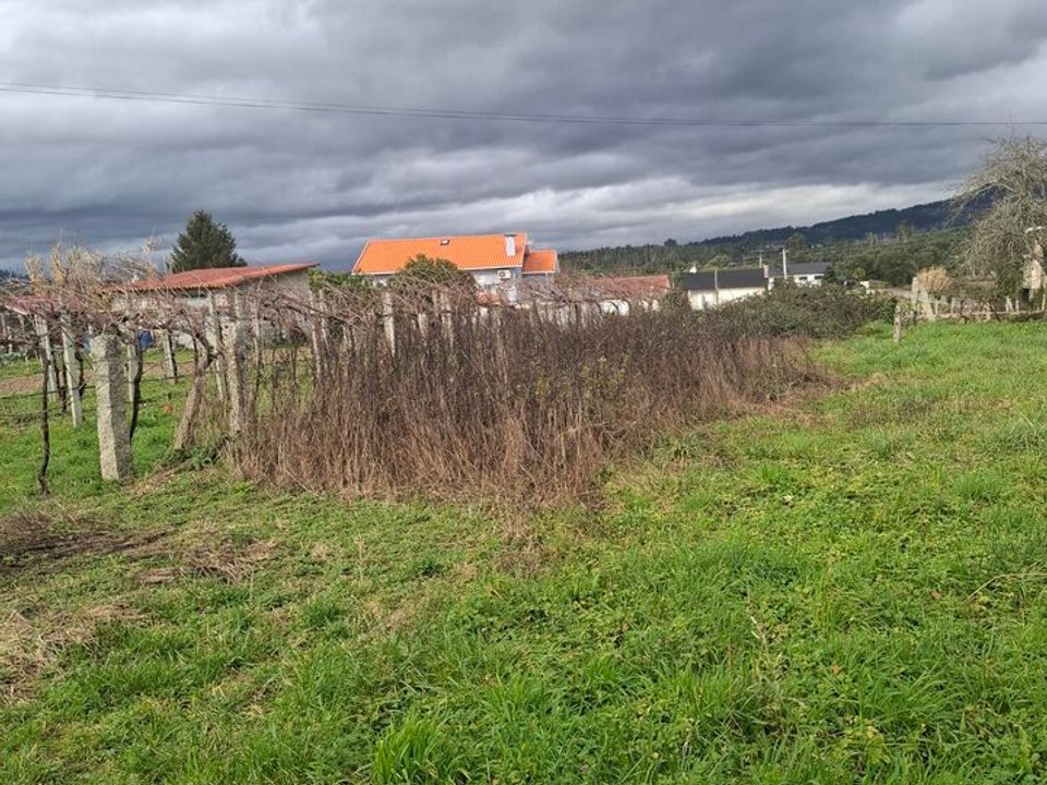 Villa i Bela, Viana do Castelo - bilde 5