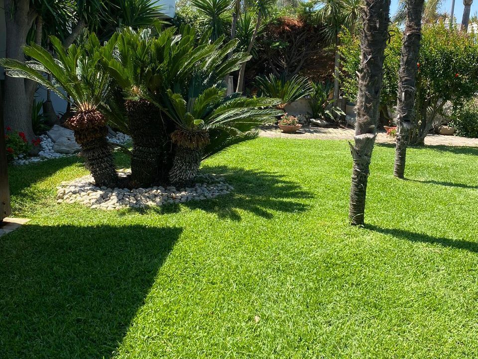 Villa i Carovigno, Brindisi - foto 4