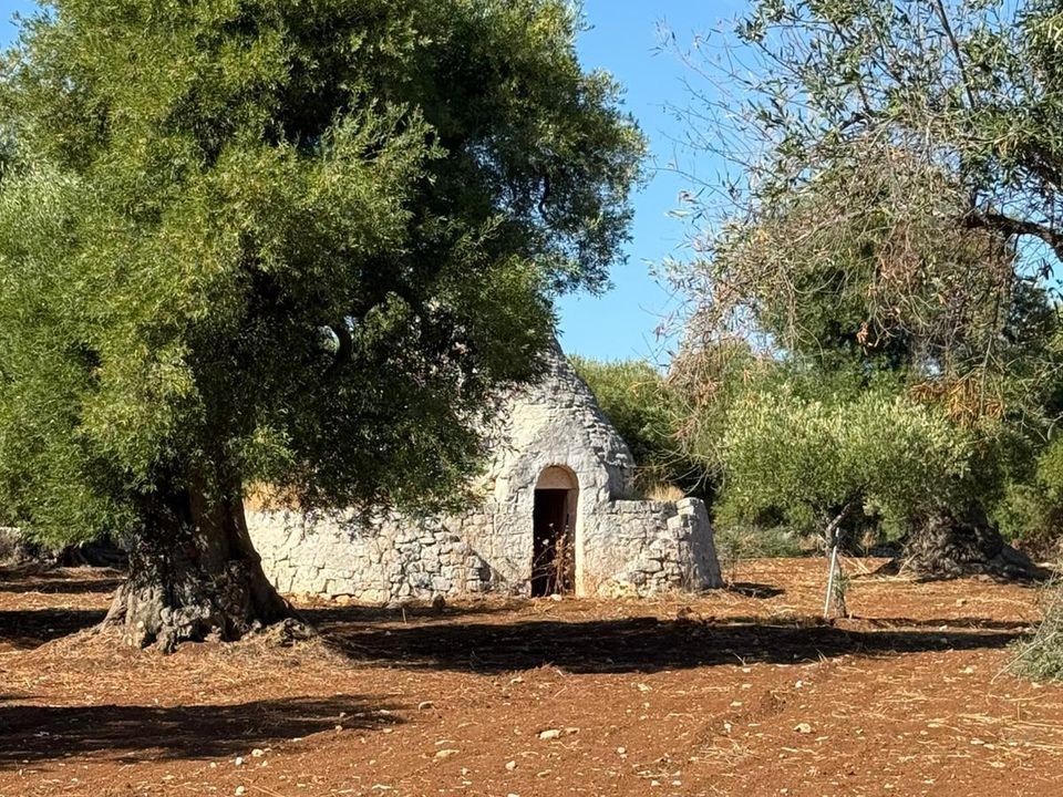Villa i Ostuni, Brindisi - foto 1