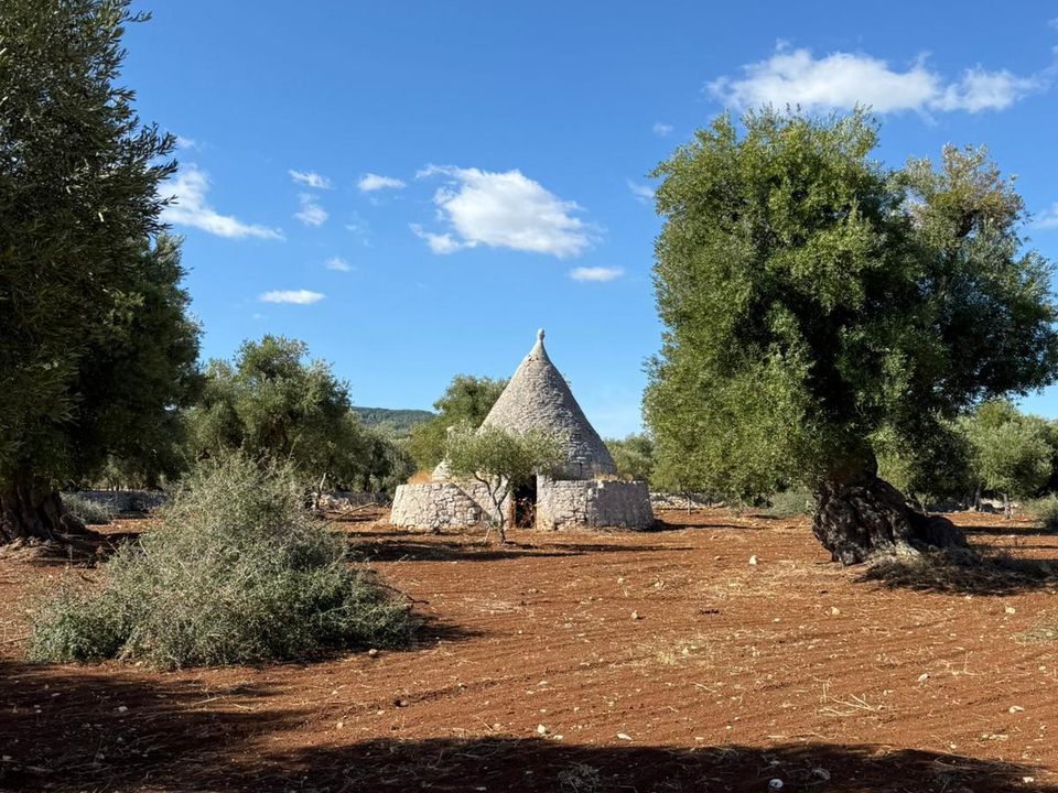 Villa i Ostuni, Brindisi - foto 2