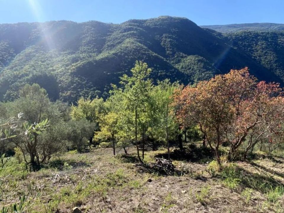 Lejlighed i Pierrefeu, Alpes-Maritimes - foto 1