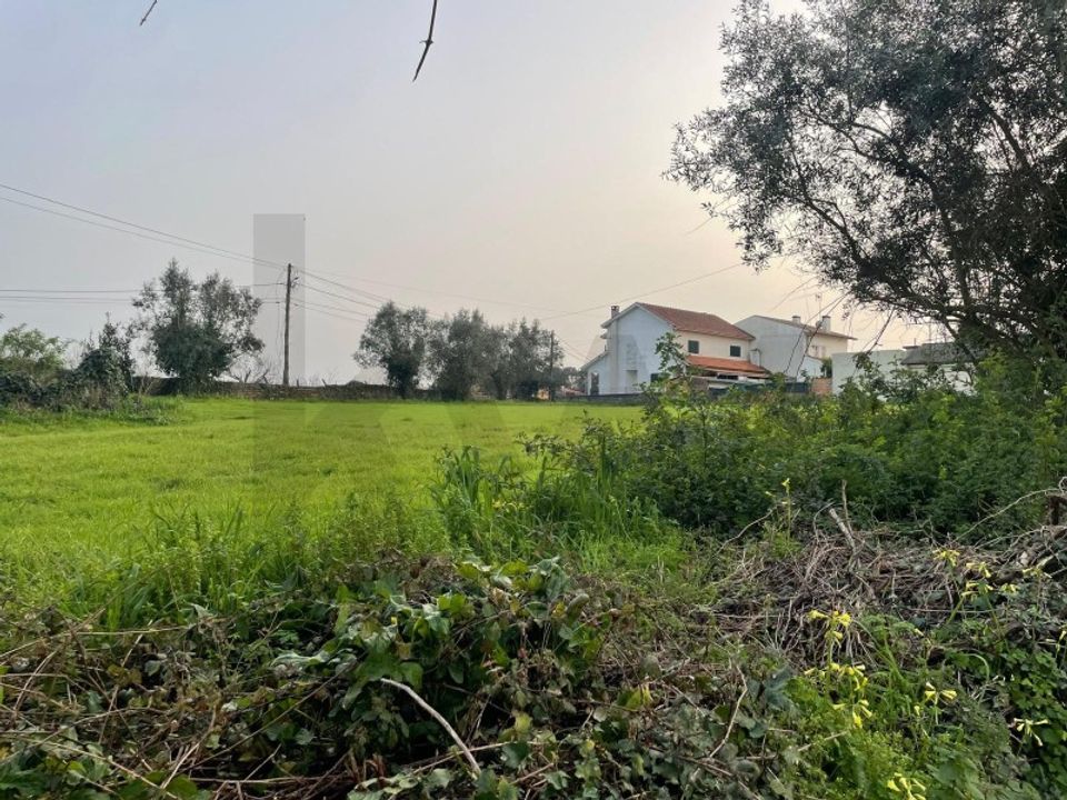 Tomt i Agueda, Aveiro - bilde 2