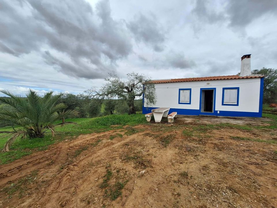 Farm house in Serpa, Beja - photo 2