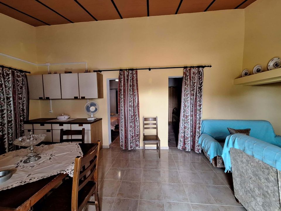 Farm house in Serpa, Beja - photo 3