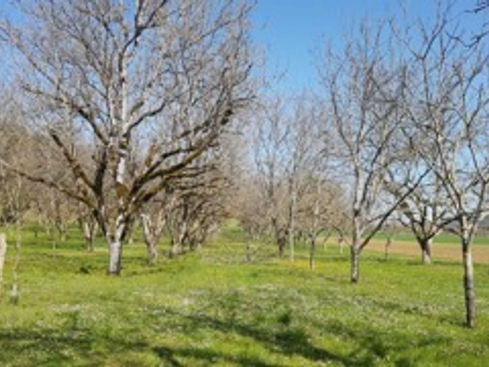 Helårsgrund i Saint-Caprais-de-Bordeaux, Gironde - foto 1