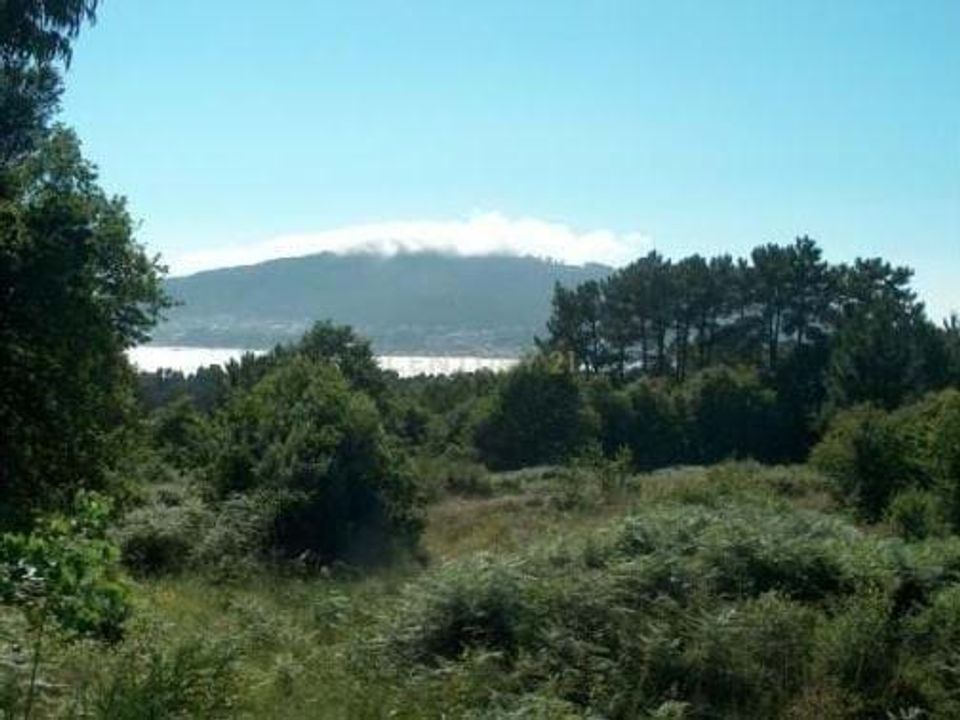 Helårsgrund i Caminha, Viana do Castelo - foto 2