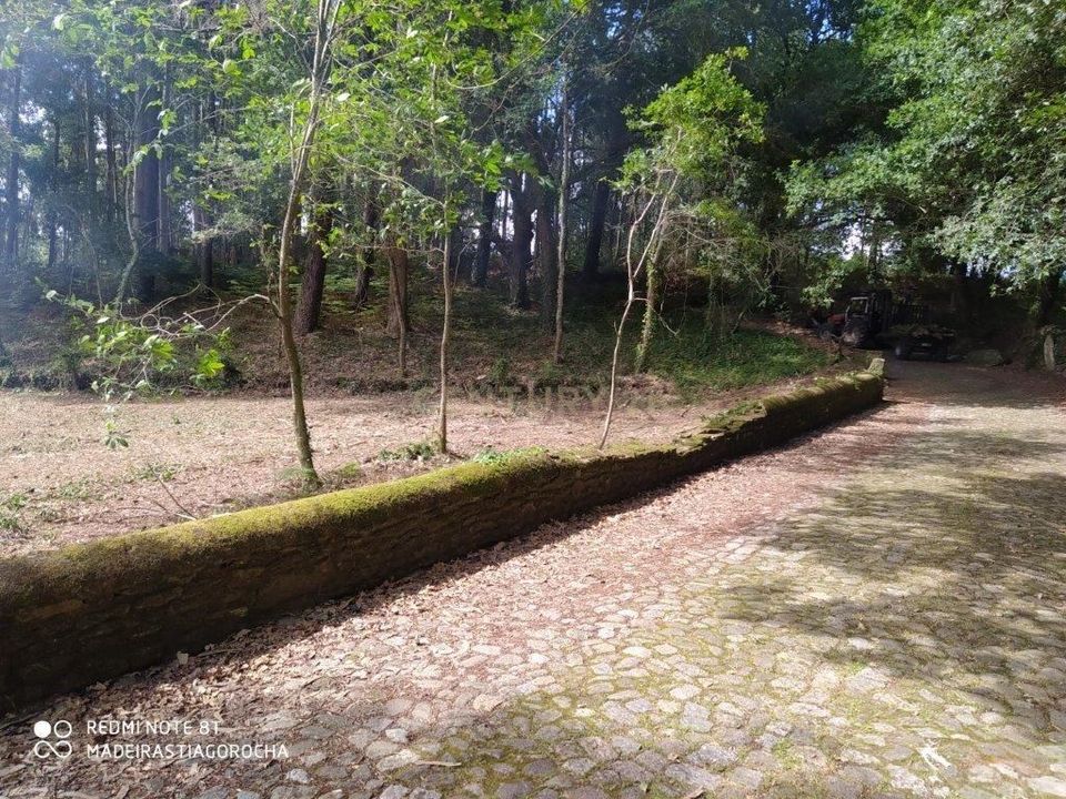 Helårsgrund i Caminha, Viana do Castelo - foto 4