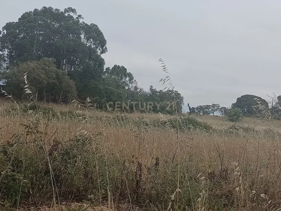 Helårsgrund i Setubal, Setubal - foto 4