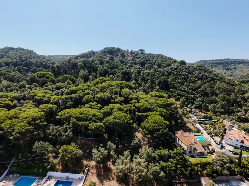 Helårsgrund i Palmela, Setubal - foto 4