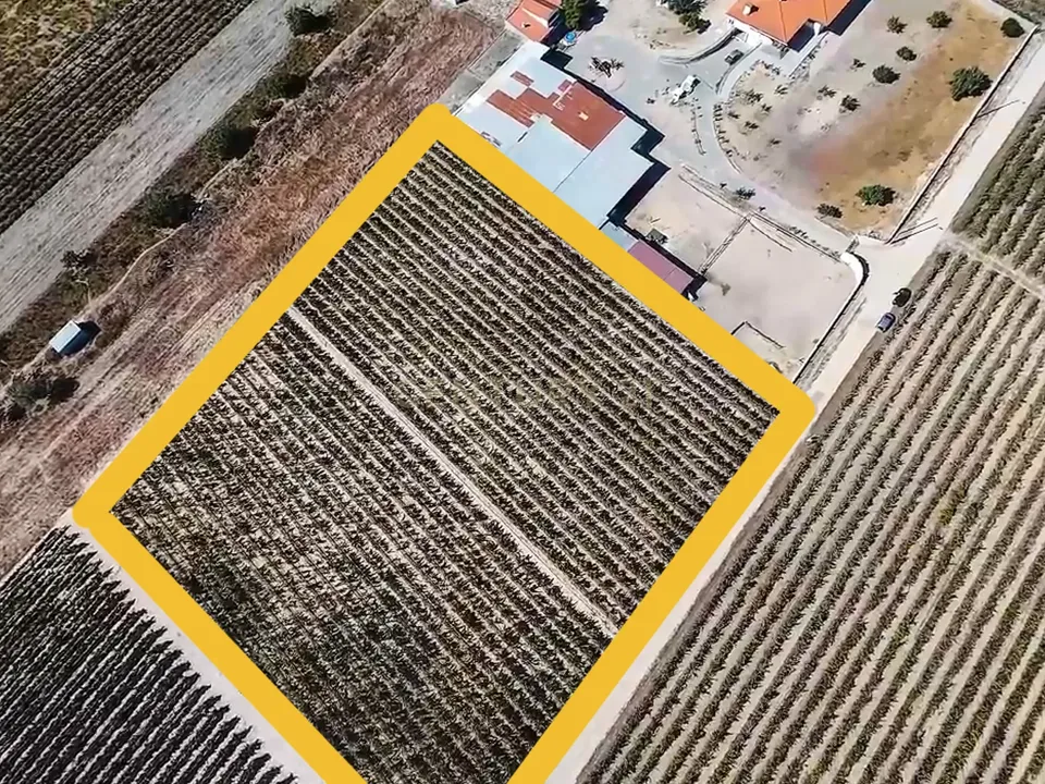 Helårsgrund i Palmela, Setubal - foto 1