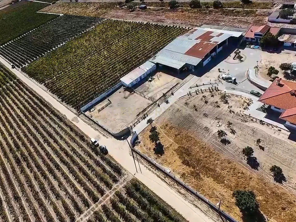 Helårsgrund i Palmela, Setubal - foto 4