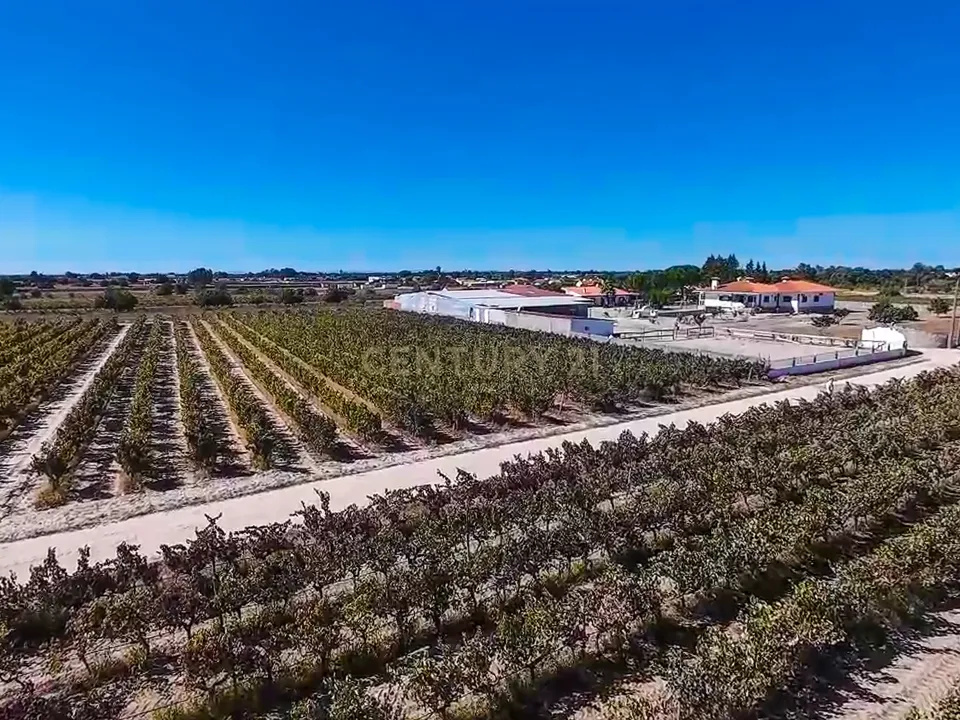 Helårsgrund i Palmela, Setubal - foto 5
