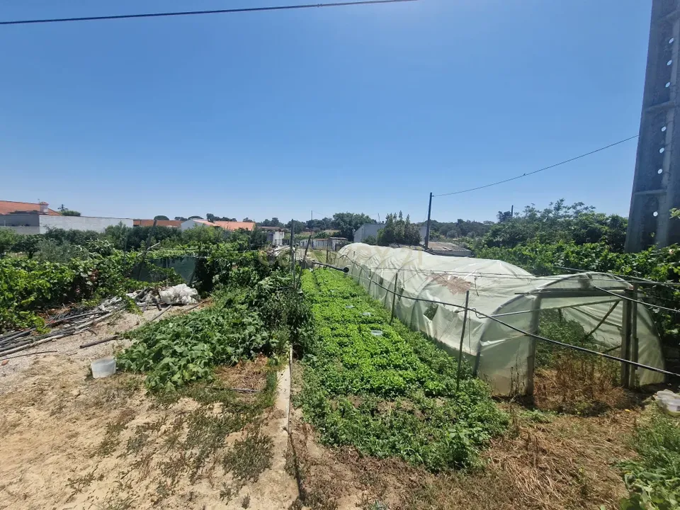 Helårsgrund i Setubal, Setubal - foto 5