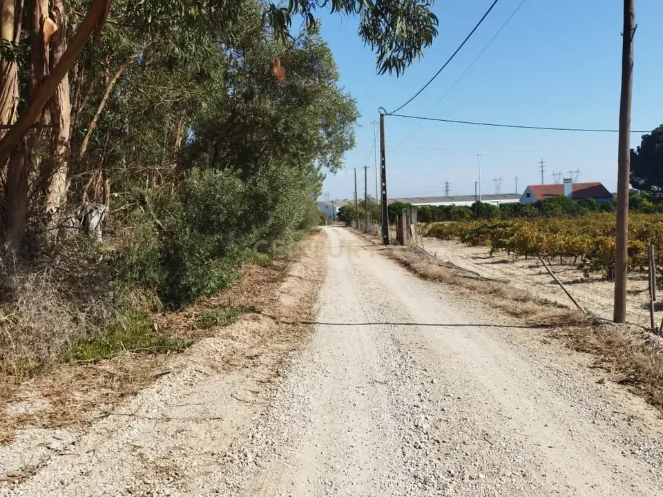 Helårsgrund i Palmela, Setubal - foto 4
