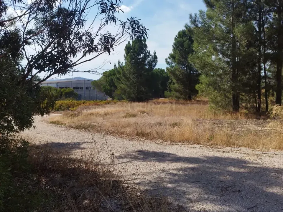 Helårsgrund i Palmela, Setubal - foto 5