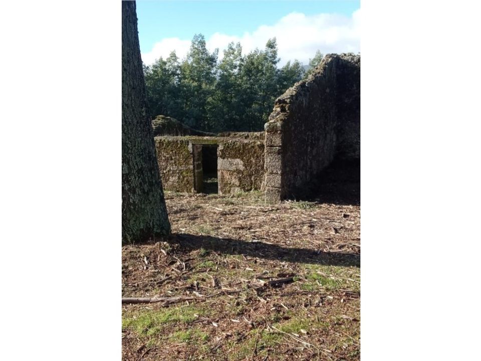 Ruinere i Teixoso, Castelo Branco - foto 3