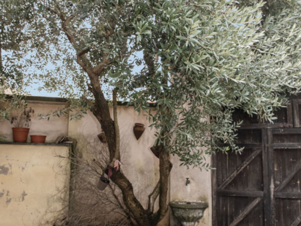 Lejlighed i Casalgrasso, Cuneo - foto 5