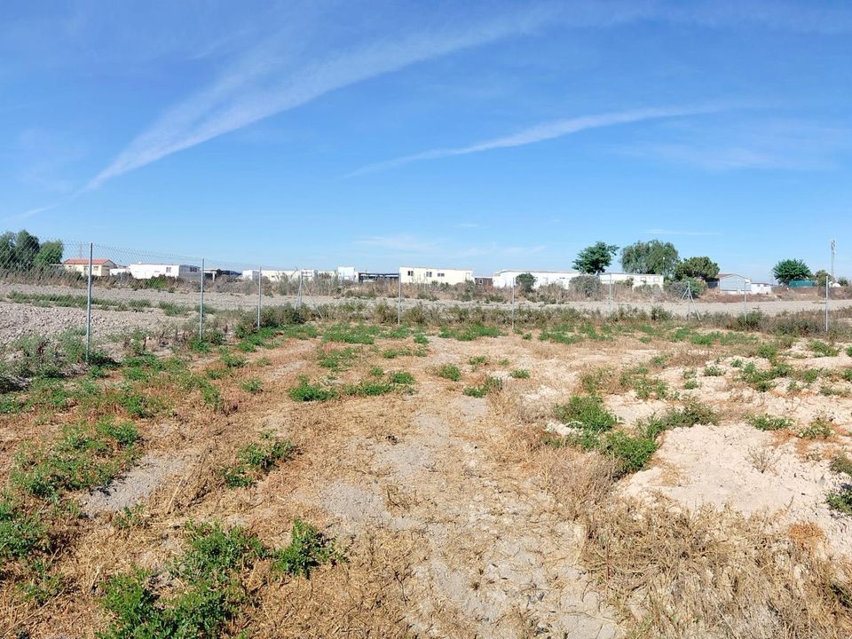Helårsgrund i San Fulgencio, Alicante - foto 2