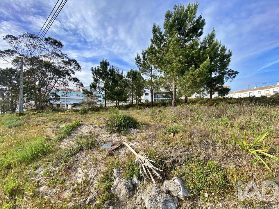 Helårsgrund i Caldas da Rainha, Leiria - foto 5