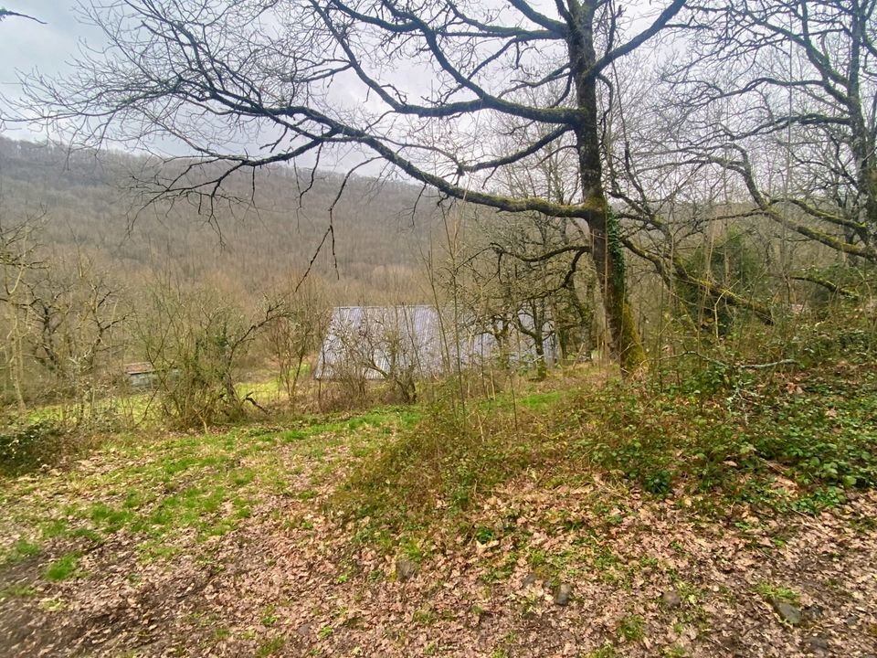 Helårsgrund i Martrin, Aveyron - foto 4