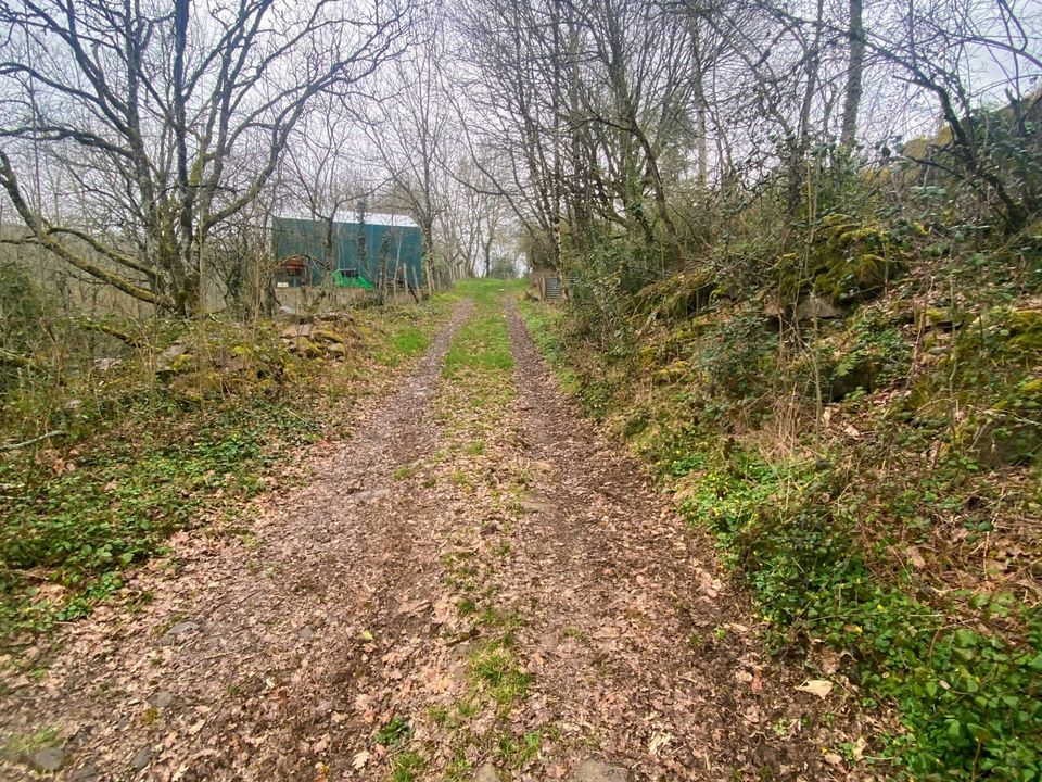 Helårsgrund i Martrin, Aveyron - foto 5