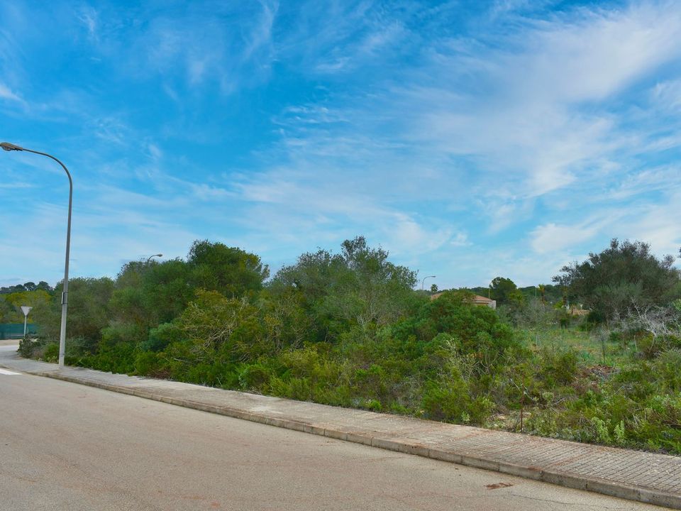 Helårsgrund i Son Ferriol, Mallorca - foto 3