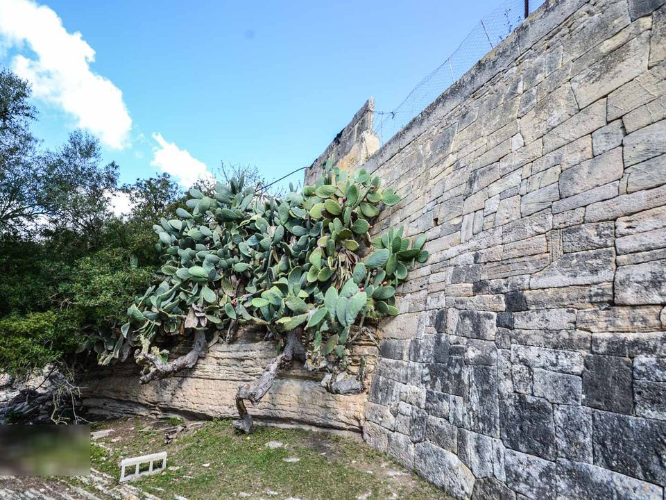 Landejendom i Porreres, Mallorca - foto 5