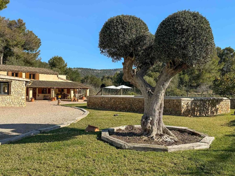 Landejendom i Calvia, Mallorca - foto 1