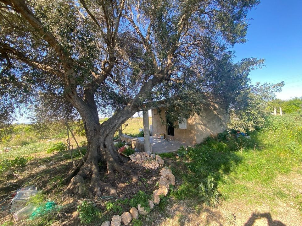 Helårsgrund i Vinaros, Castellon - foto 2