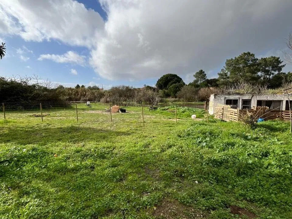Farm i Palmela, Setubal - foto 3