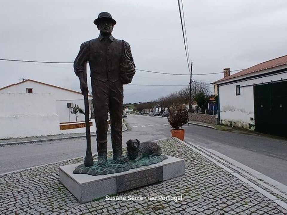 Rekkehus i Elvas, Portalegre - bilde 3
