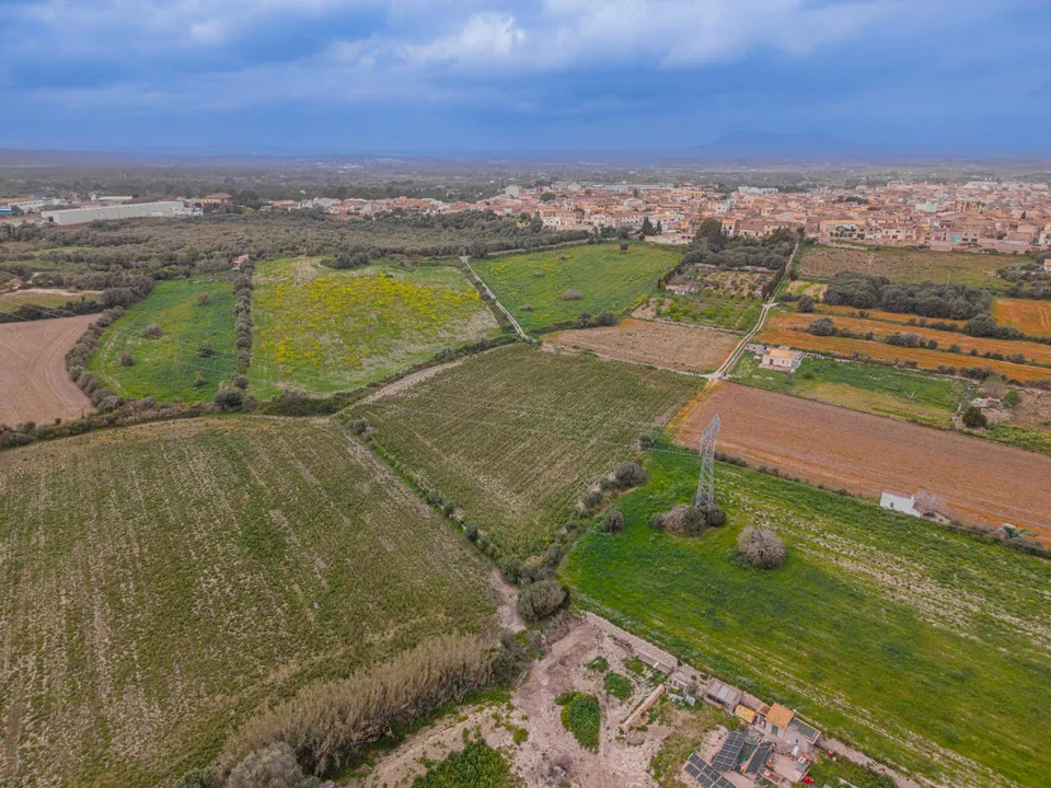 Tomt i Muro, Mallorca - bilde 3