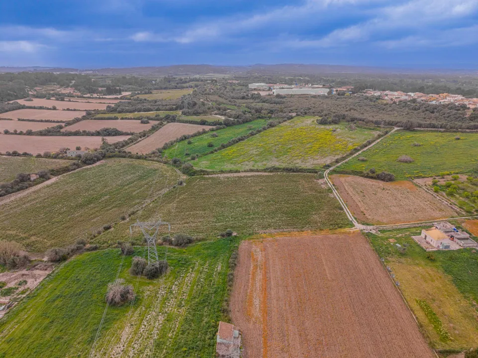 Tomt i Muro, Mallorca - bilde 4