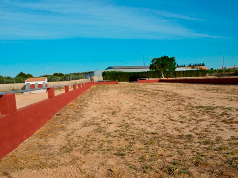Finca i San Miguel De Salinas, Alicante - foto 4
