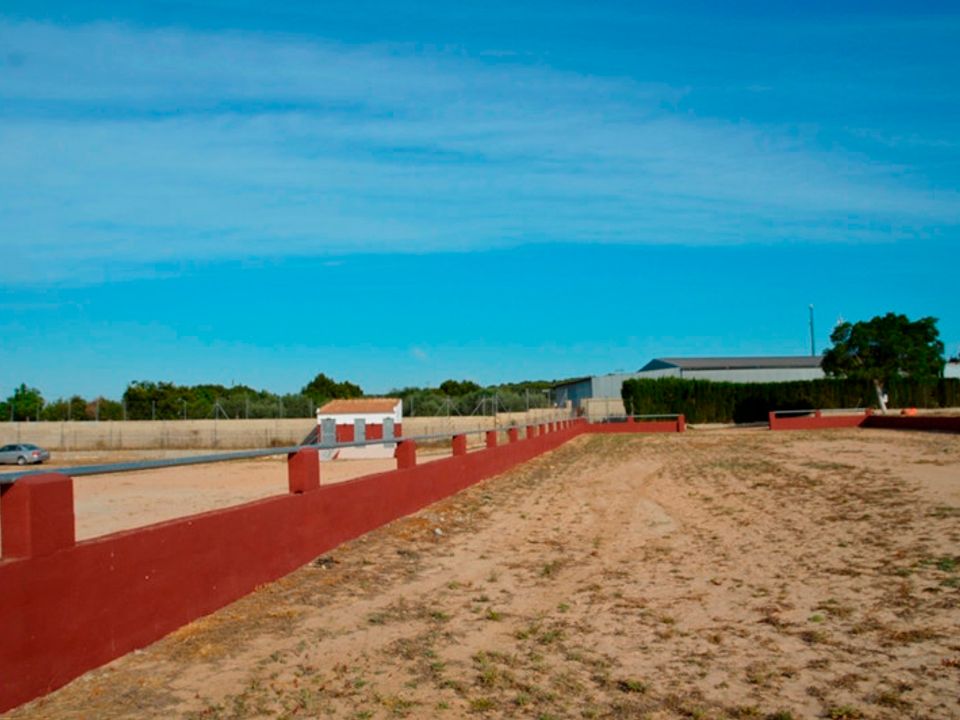 Finca i San Miguel De Salinas, Alicante - foto 5