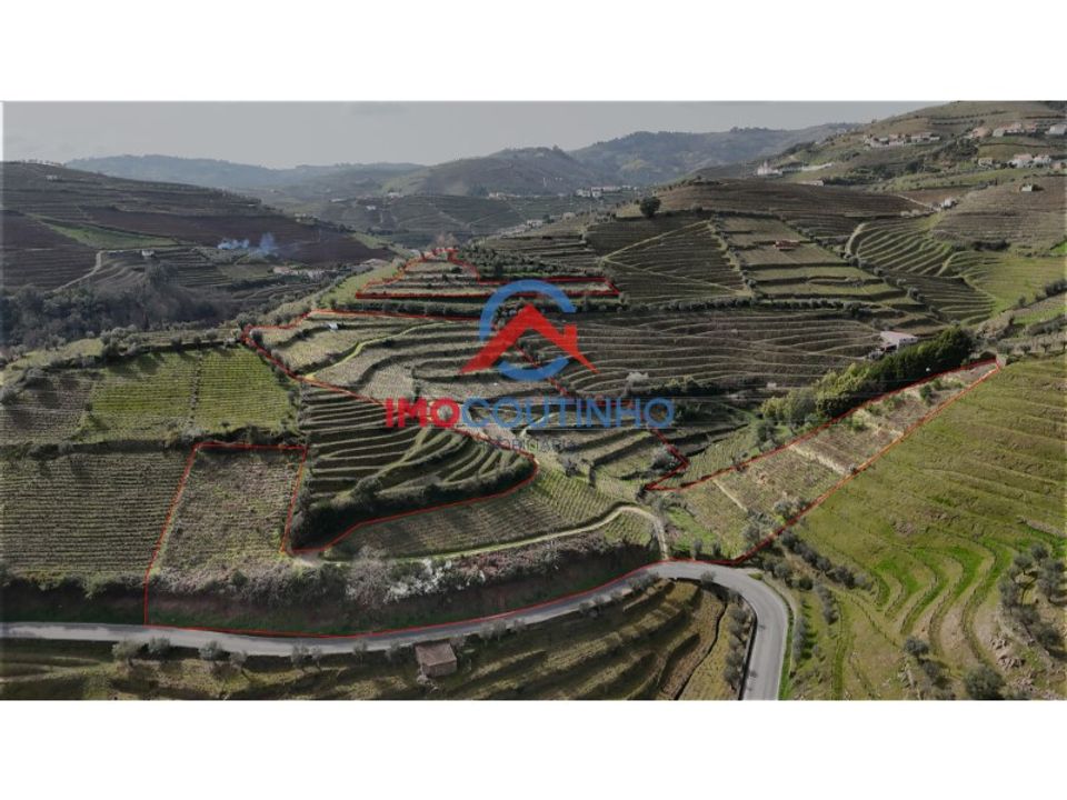 Farm i Moimenta da Beira, Viseu - foto 1