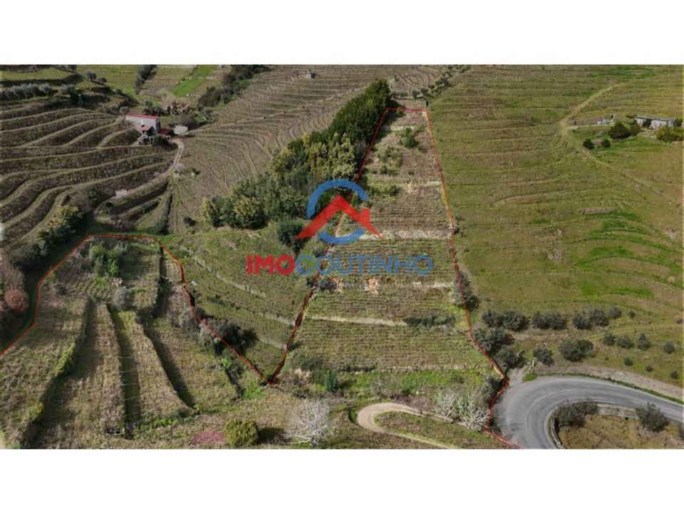 Farm i Moimenta da Beira, Viseu - foto 2